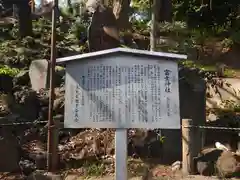 駒込富士神社(東京都)