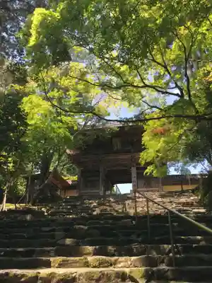 神護寺の山門・神門