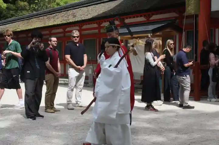 賀茂御祖神社(下鴨神社)(京都府)