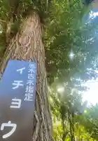 旭鎮守八幡神社(神奈川県)