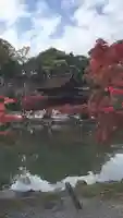 永保寺の庭園