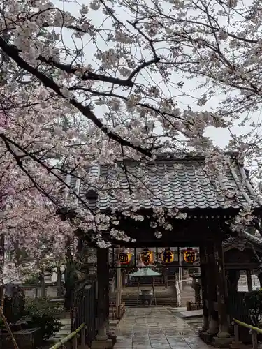 新井薬師（梅照院）(東京都)