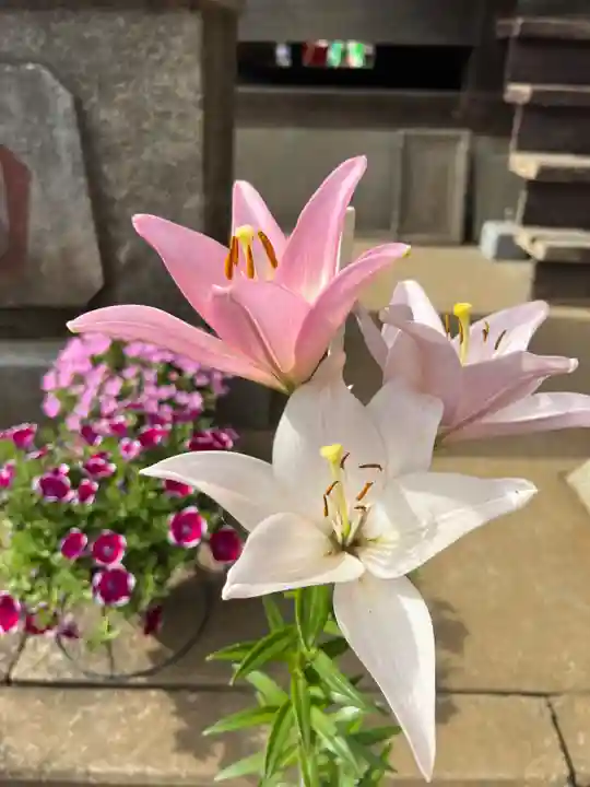 伏木香取神社の自然