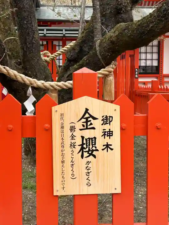 金櫻神社(山梨県)