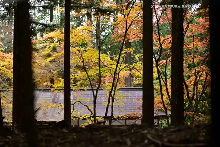 三峯神社(埼玉県)
