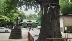 春日部八幡神社(埼玉県)