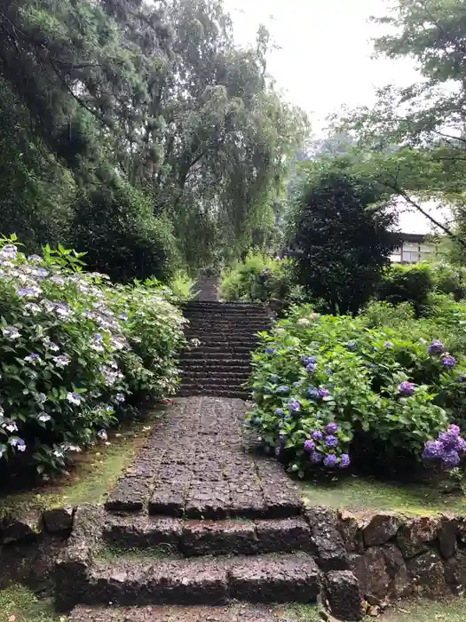 大中寺の建物その他