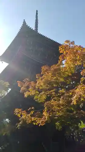 真正極楽寺（真如堂）の自然