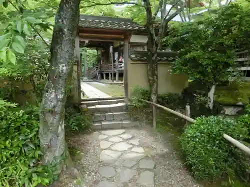 勝持寺（花の寺）(京都府)