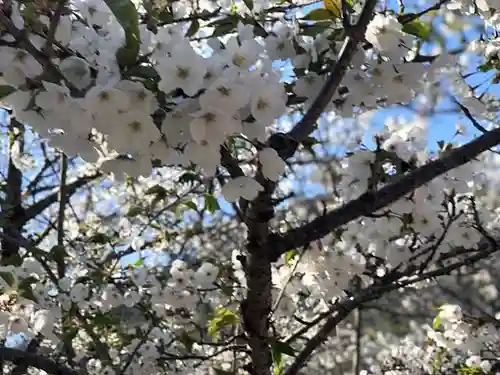 木舟山　順教寺の自然