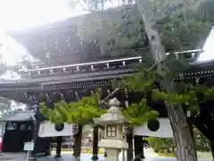 智恩寺の山門