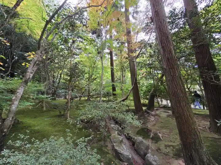 慈照寺(慈照禅寺・銀閣寺)(京都府)