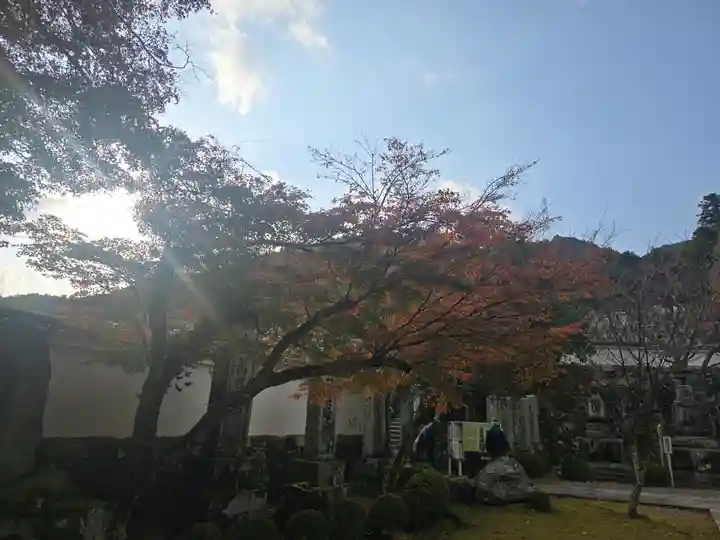 西教寺(滋賀県)