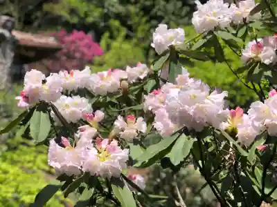 木舟山　順教寺(広島県)