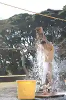 蓮久寺の体験その他