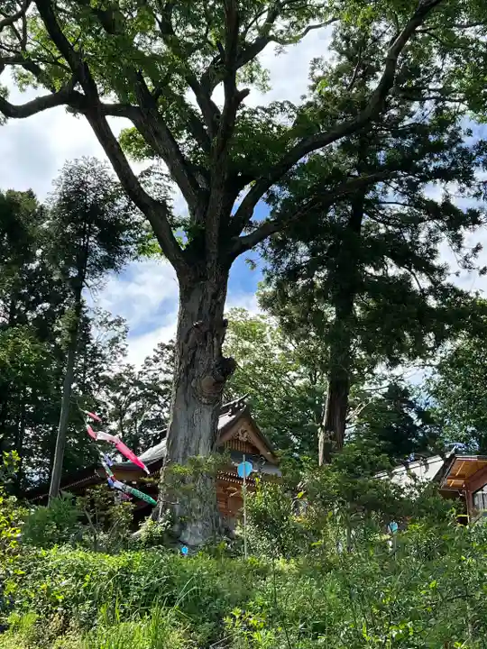 長屋神社(福島県)