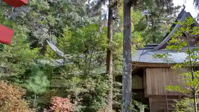 小鹿神社(埼玉県)