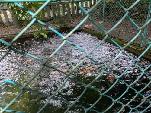 天鷹神社(岐阜県)