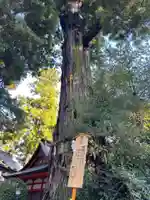 香取神宮(千葉県)