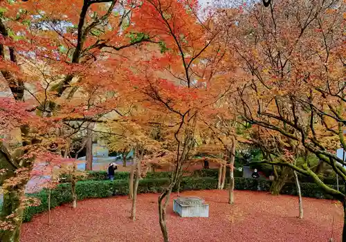 真正極楽寺（真如堂）の庭園