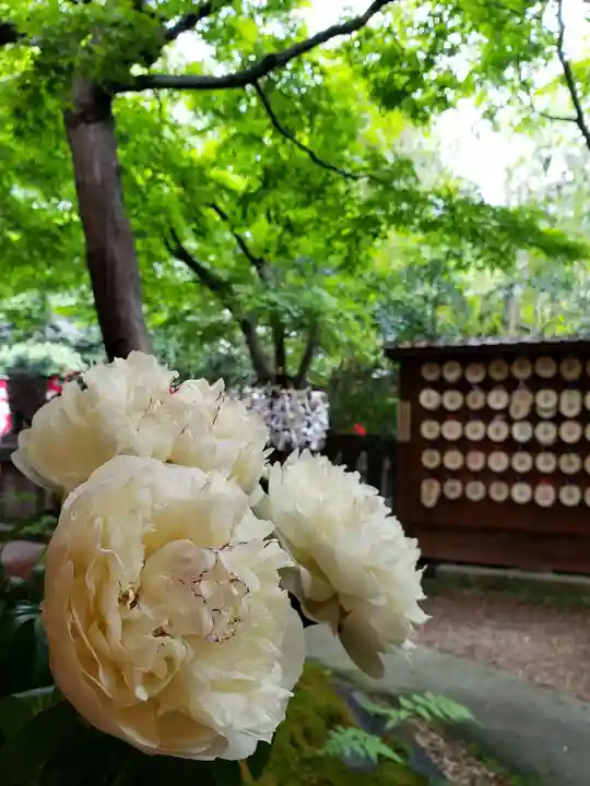 陽運寺(東京都)