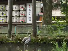 諏訪大社の庭園