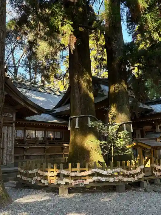 高千穂神社の{uncategorized: "未分類", other: "その他", undefined: "問題あり", building: "その他建物", grave: "お墓", sacred_gate: "鳥居", guardian: "狛犬", statue: "像", buddha: "仏像", history: "歴史", nature: "自然", garden: "庭園", animal: "動物", pagoda: "塔", temizu: "手水舎", mountain_gate: "山門・神門", sanctuary: "本殿・本堂", subordinate: "末社・摂社", art: "芸術", scenery: "景色", jizo: "地蔵", ema: "絵馬", goshuin: "御朱印", omikuji: "おみくじ", items: "授与品その他", amulet: "お守り", goshuincho: "御朱印帳", eats: "食事", festival: "お祭り", votive_dance: "神楽", shichigosan: "七五三参", wedding: "結婚式", experience: "体験その他", initially: "初詣", around: "周辺", anti_infection: "感染症対策"}