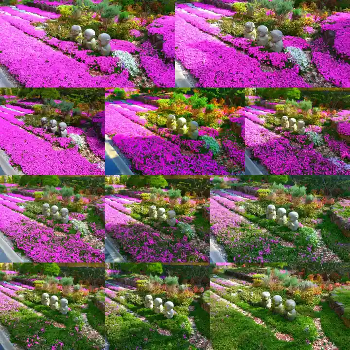 寿量山 速成寺(奈良県)