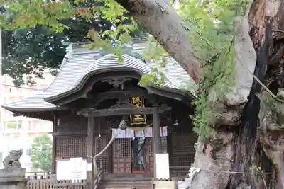 阿邪訶根神社の本殿・本堂