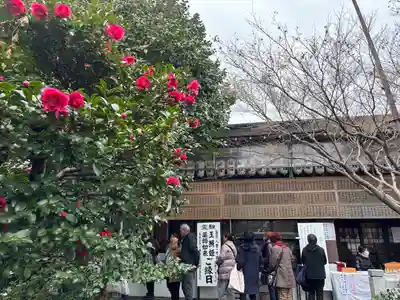 泉増院(愛知県)