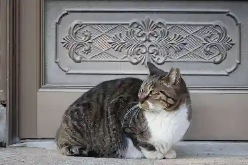 阿邪訶根神社の動物