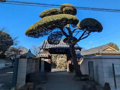 松應寺(東京都)