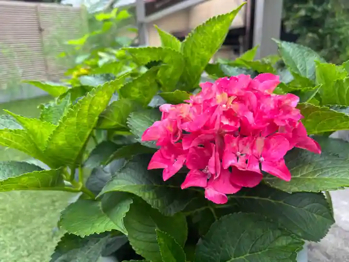 松本山 地福禅寺(滋賀県)