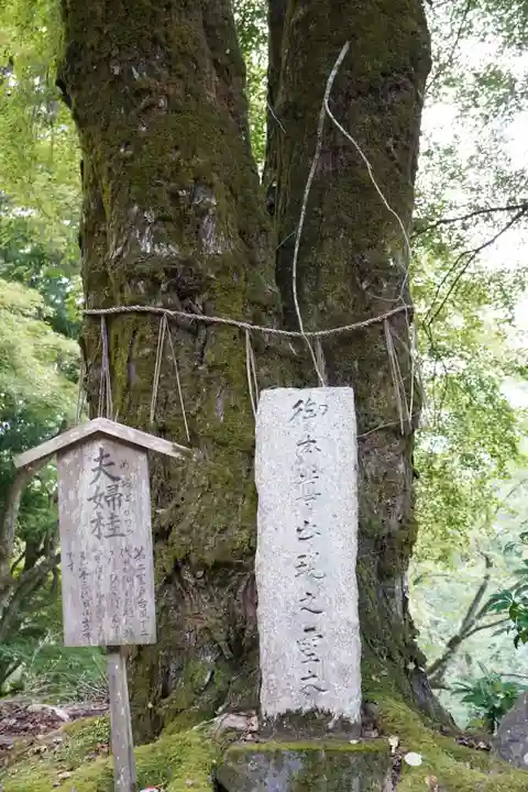 正法寺(滋賀県)