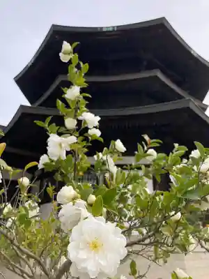 斑鳩寺のその他建物