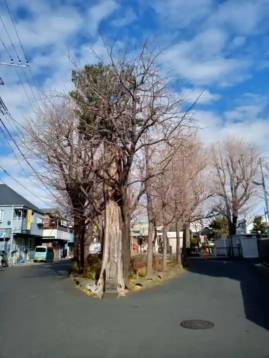 高木神社の自然
