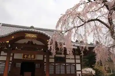 円通寺の本殿・本堂