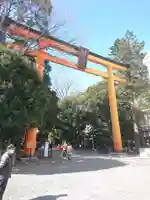 川越氷川神社の鳥居