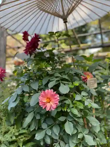 上野東照宮の自然