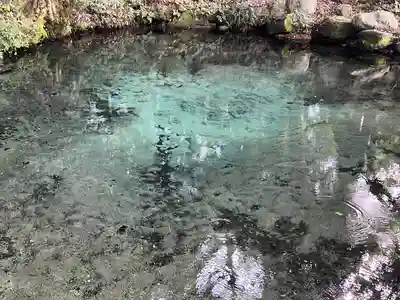 泉神社(茨城県)