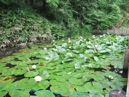 普濟寺の庭園