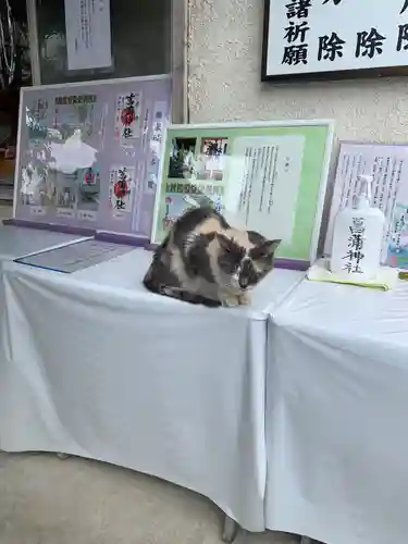 菖蒲神社の動物