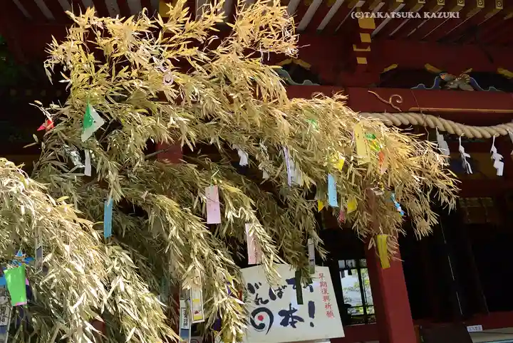 浅草神社のお祭り