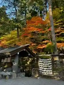 日枝神社(岐阜県)(2024年11月08日(金) 15時41分33秒投稿)