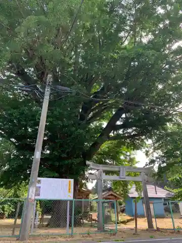 稲荷神社(千葉県)