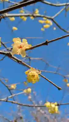 巨椋神社(京都府)
