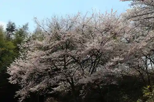 三春大神宮の庭園