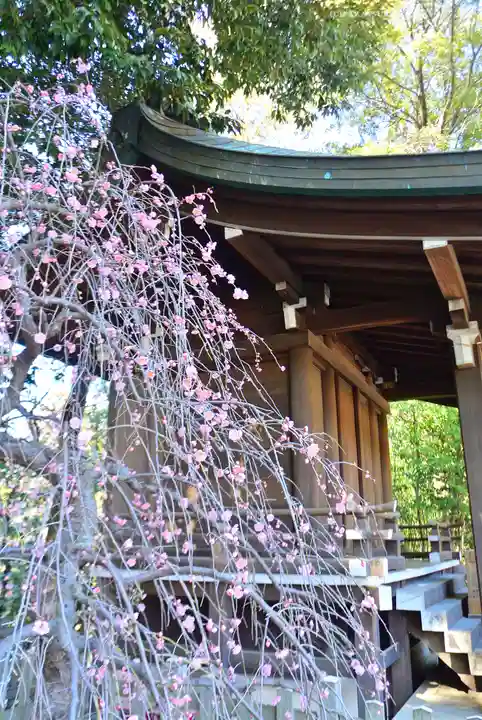 武蔵一宮氷川神社(埼玉県)
