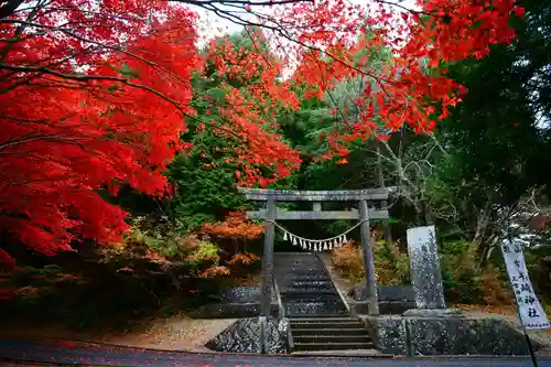 零羊崎神社の鳥居