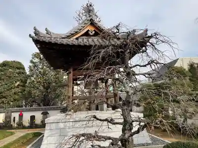 光傳寺(東京都)